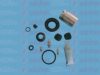 AUTOFREN SEINSA D4857C Repair Kit, brake caliper